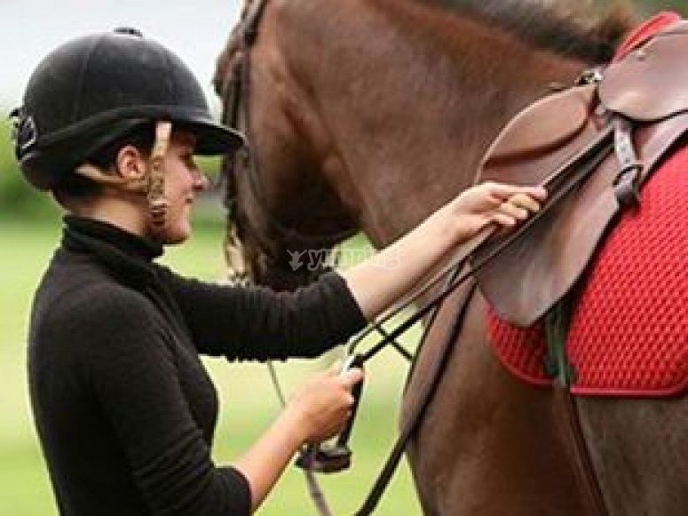 Wellsfield Farm, prices and bookings 2024